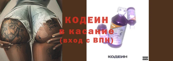 прущие грибы Нягань