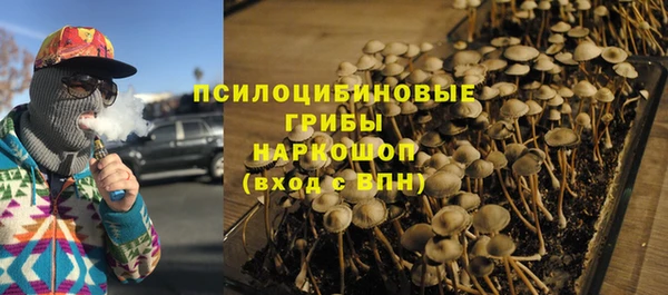 ешки Абинск