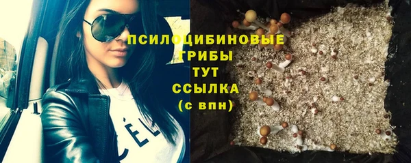 apvp Абаза