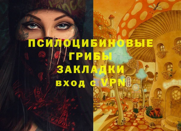 ешки Абинск