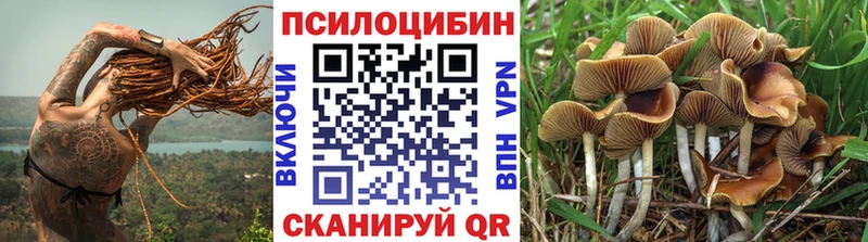 наркота  Шилка  blacksprut tor  Псилоцибиновые грибы Psilocybe 